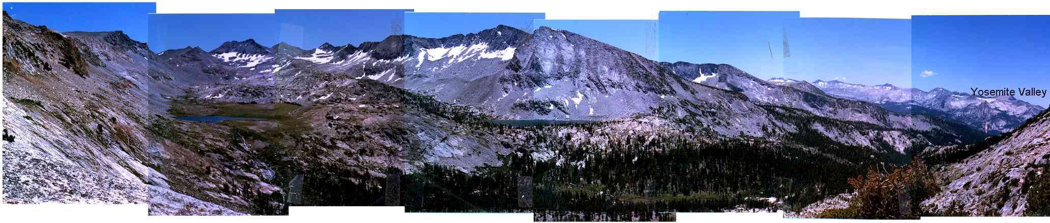 Copy of Vogel1.jpg (26658 bytes)